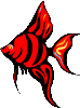 Aqua Fish Gorkum